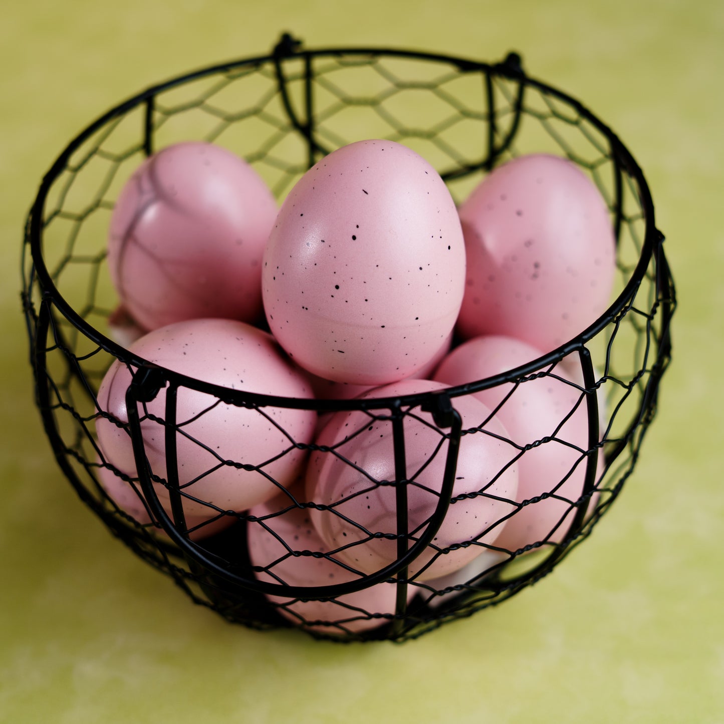 ED10 PASTEL WONDER EGG