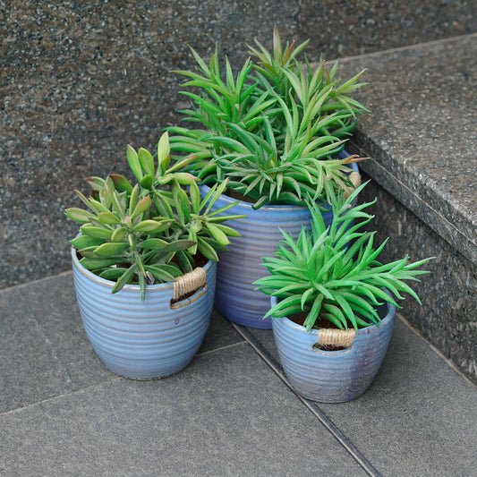 SET OF 3 CERAMIC PLANTER