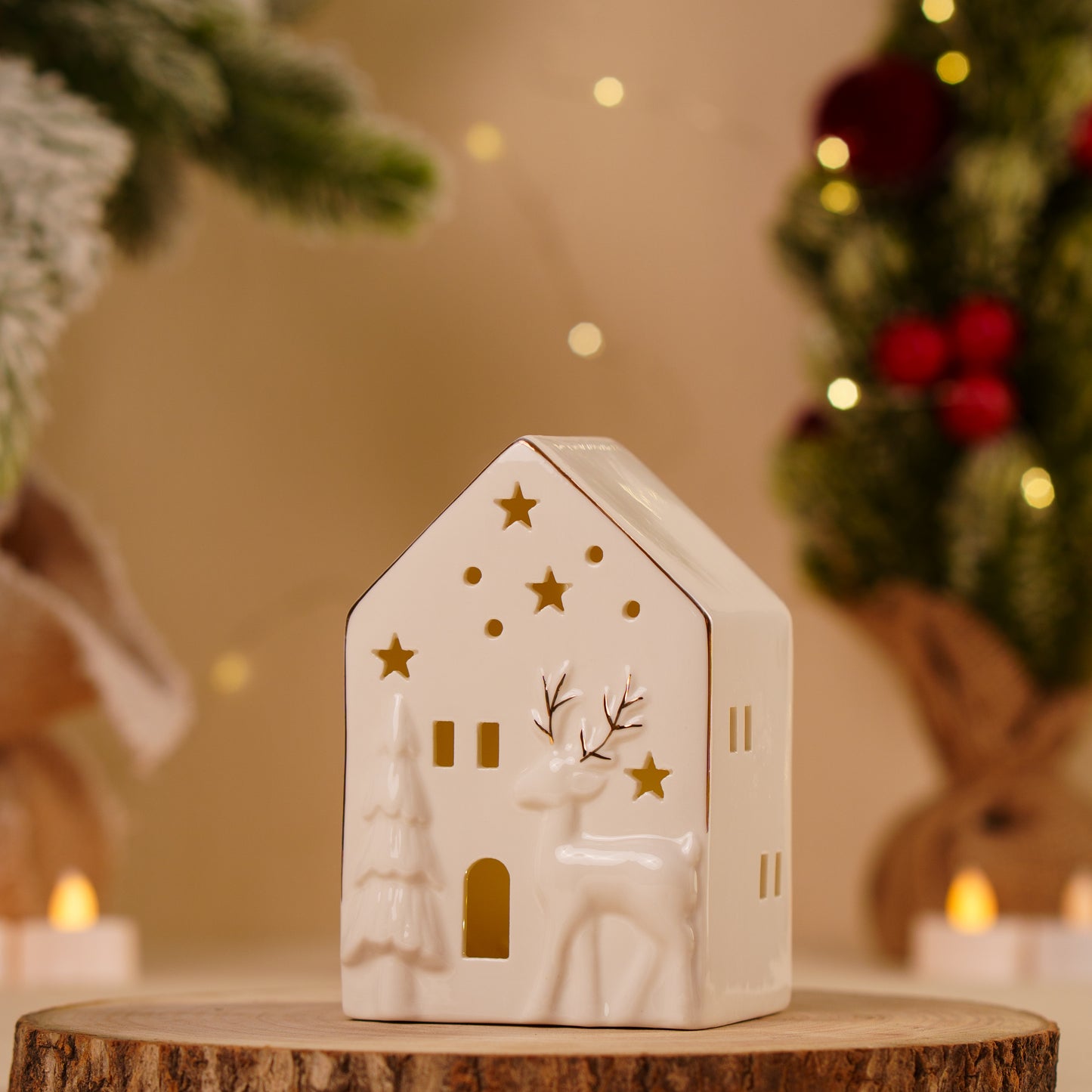 THD270 WHITE HOUSE WITH LIGHT