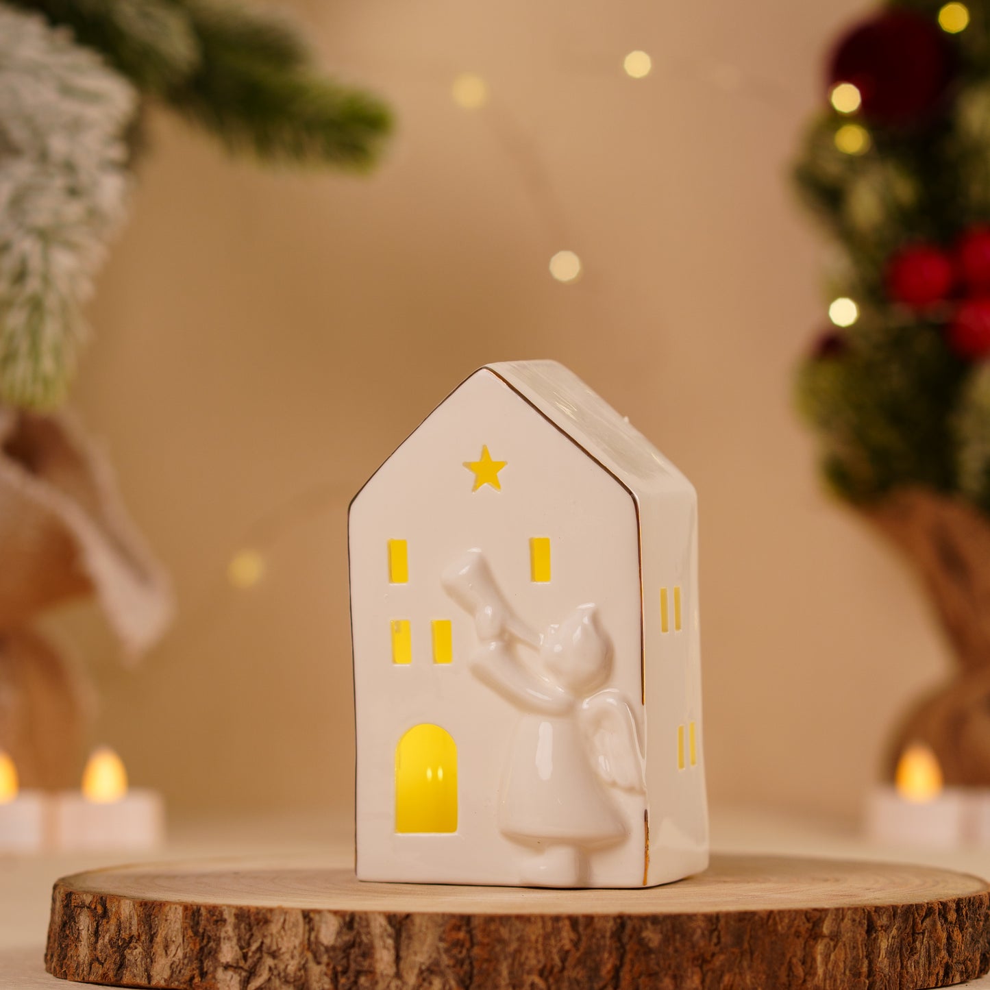 THD267 HOUSE WITH LIGHT