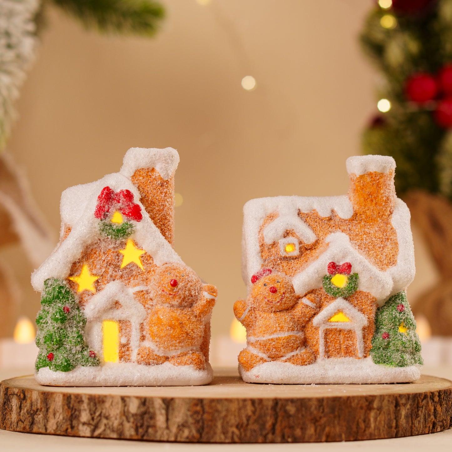 THD290 GBM HOUSE WITH LIGHT