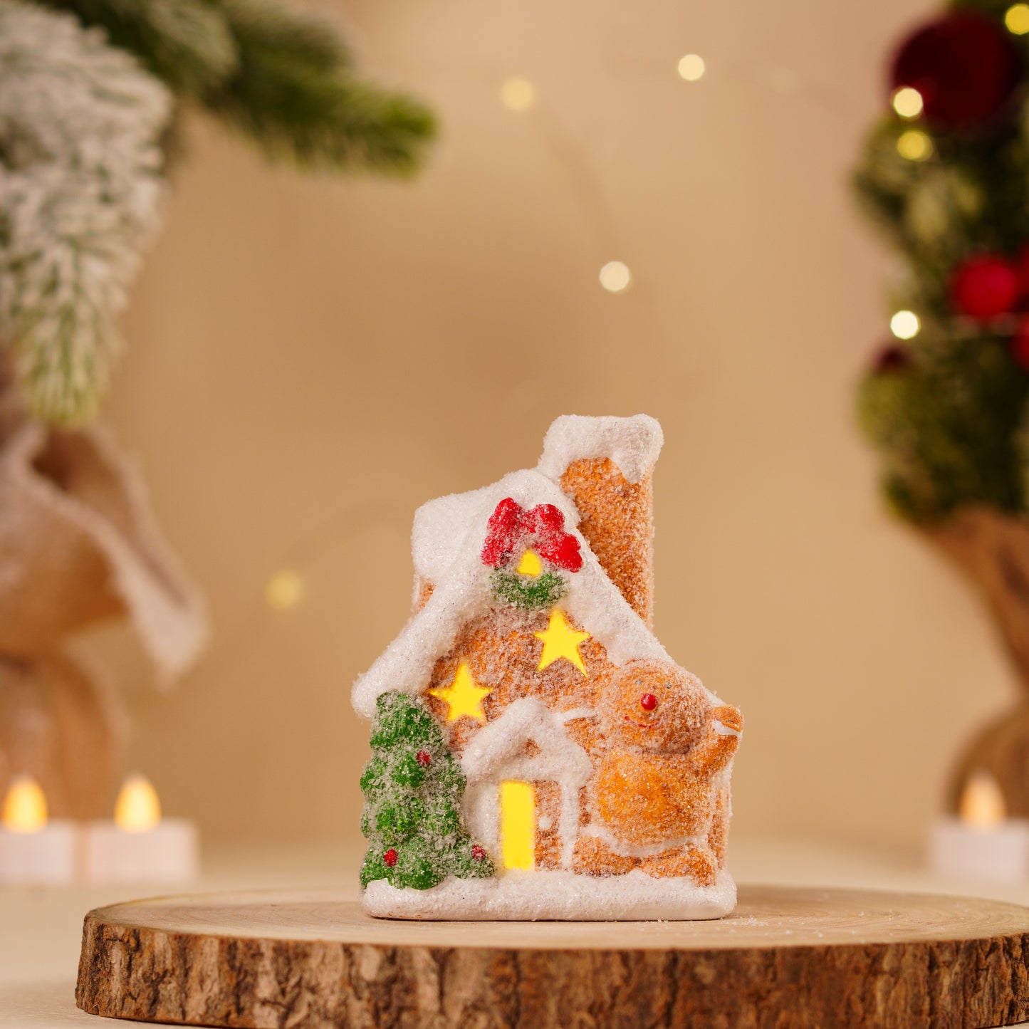 THD290 GBM HOUSE WITH LIGHT