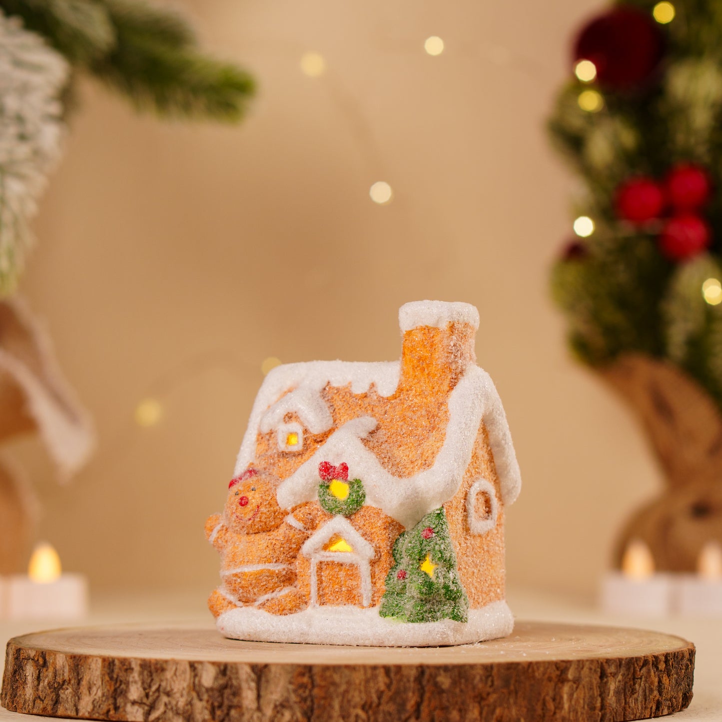 THD290 GBM HOUSE WITH LIGHT