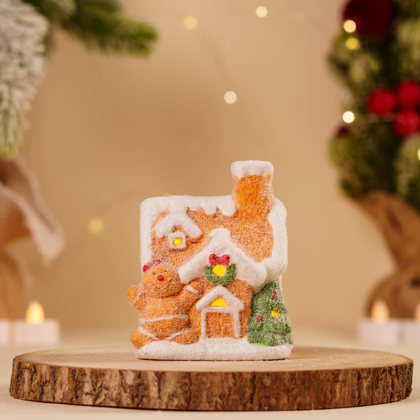 THD290 GBM HOUSE WITH LIGHT