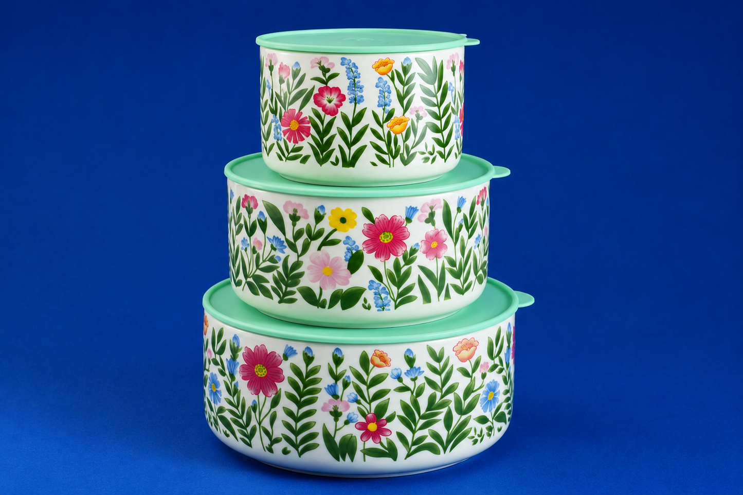 DD-135 Set of 3 Ceramic Storage Containers with Airtight Lids