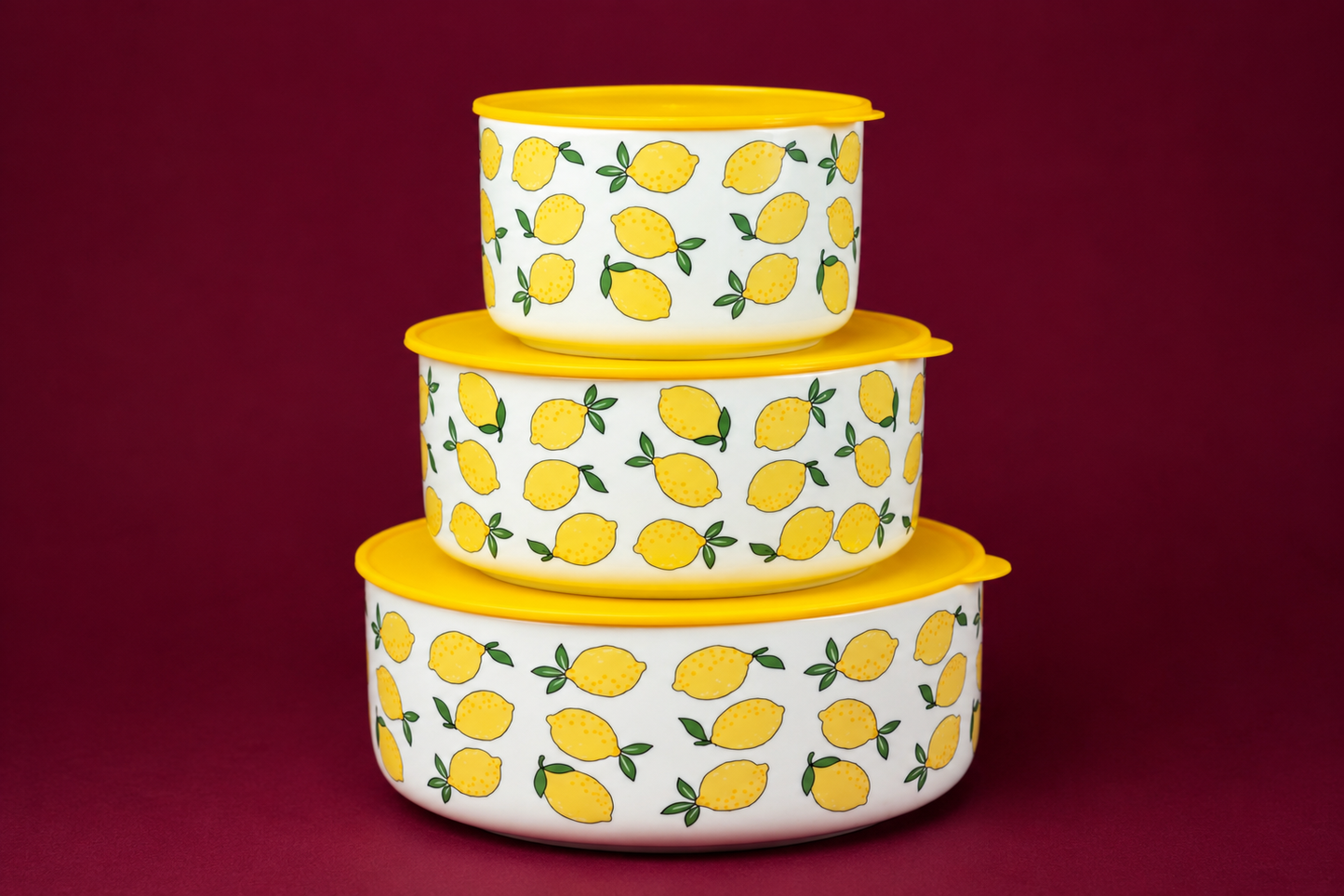 DD-136 Set of 3 Ceramic Storage Containers with Airtight Lids