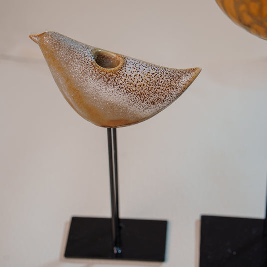 THD056 BIRD