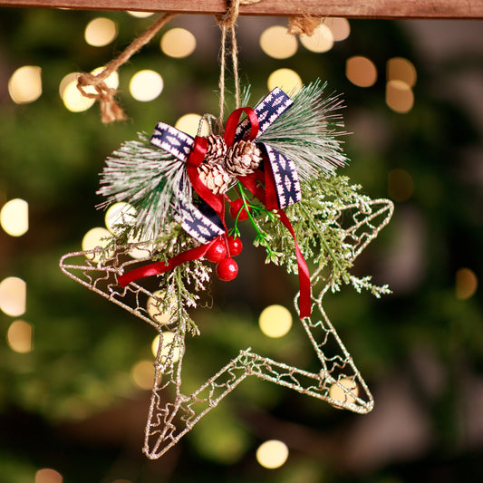 HD173 HANGING STAR