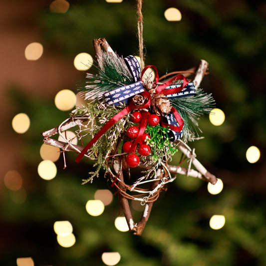 HD176 XMAS HANGING STAR