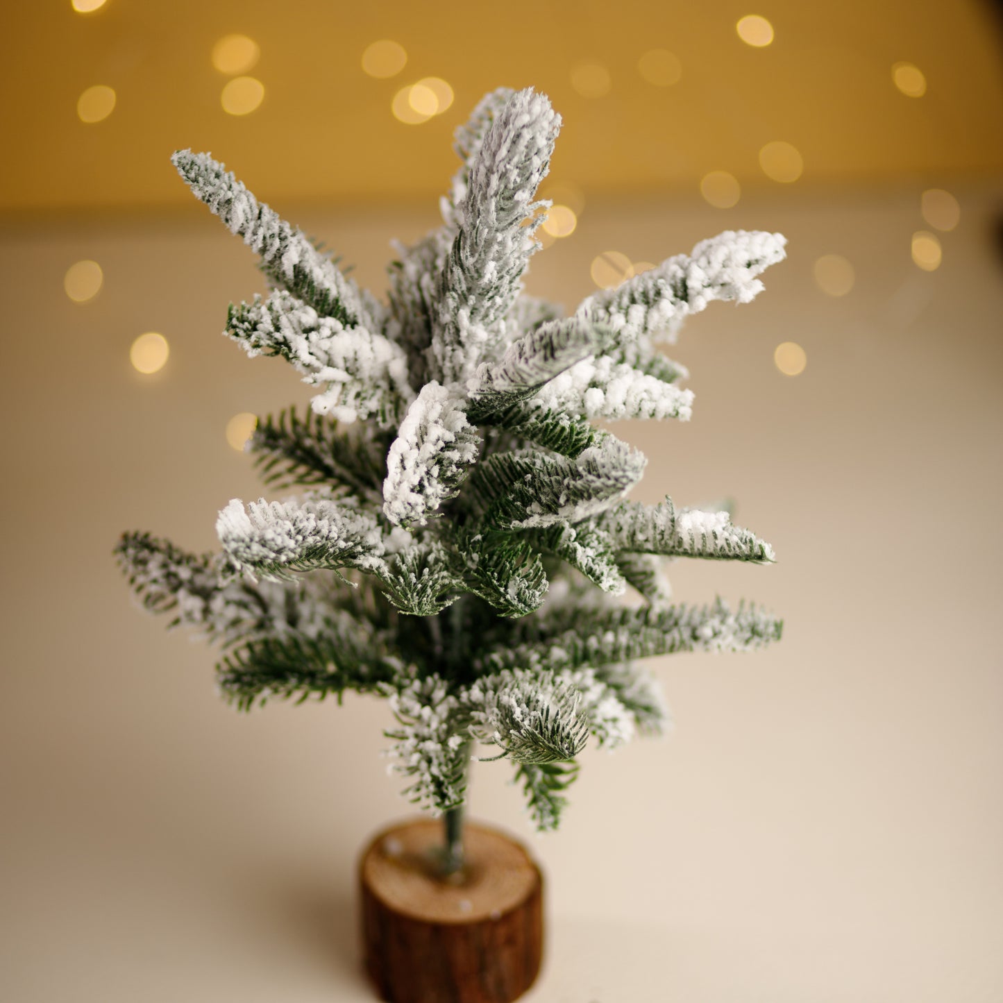 HD239 SNOWY TREE