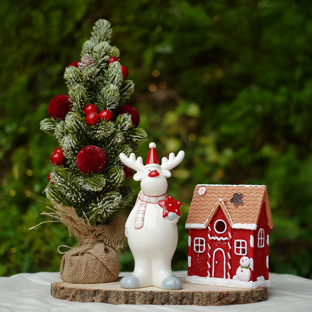 THD504 Red Christmas Display Set