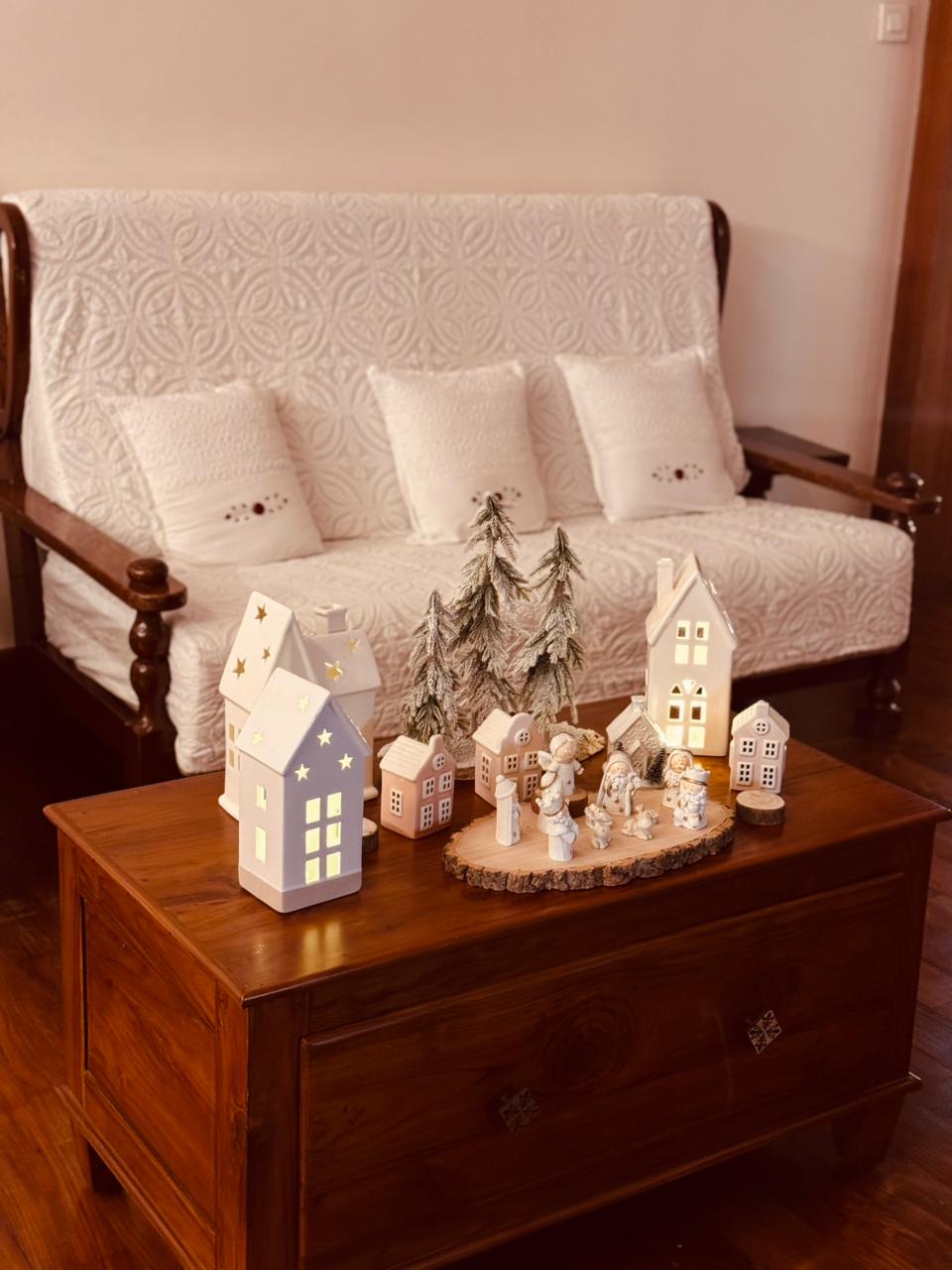 DALSA'S VILLAGE SET UP