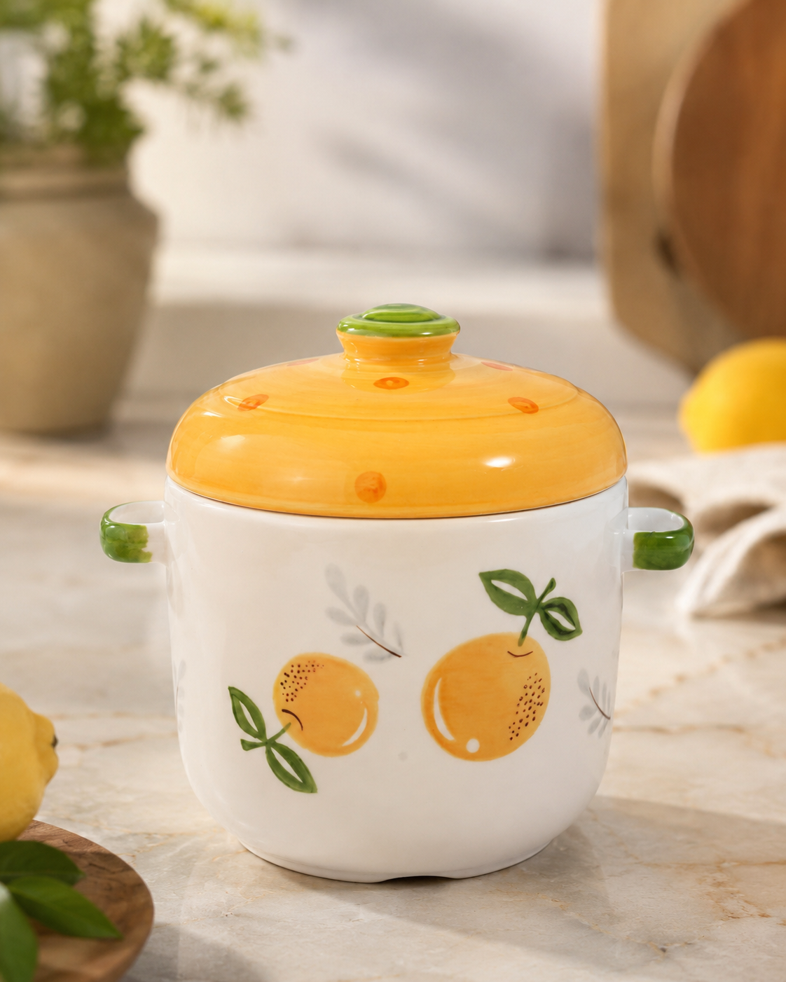 DD- 104 Ceramic Kitchen Storage Canister with Double Lid