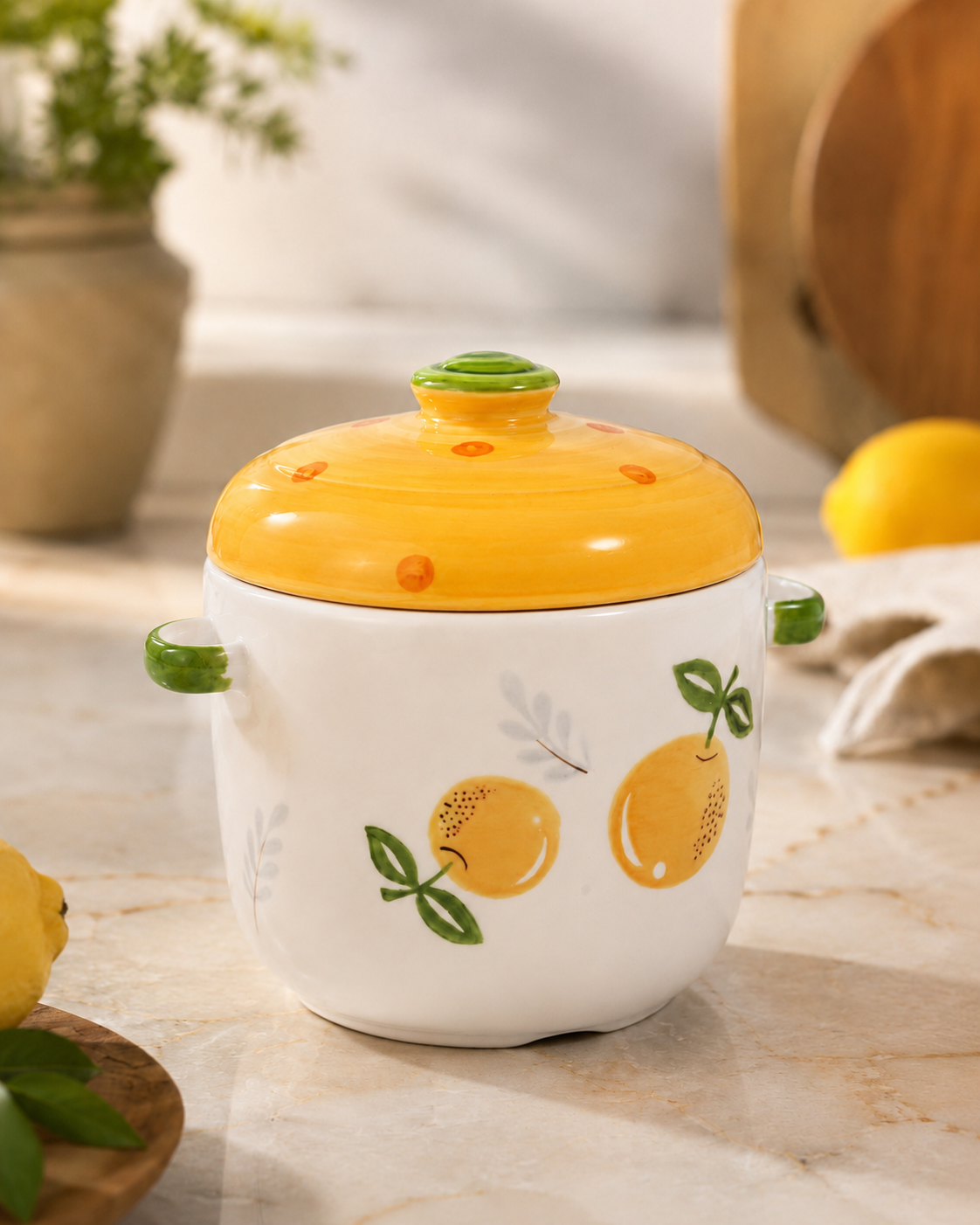 DD- 104 Ceramic Kitchen Storage Canister with Double Lid